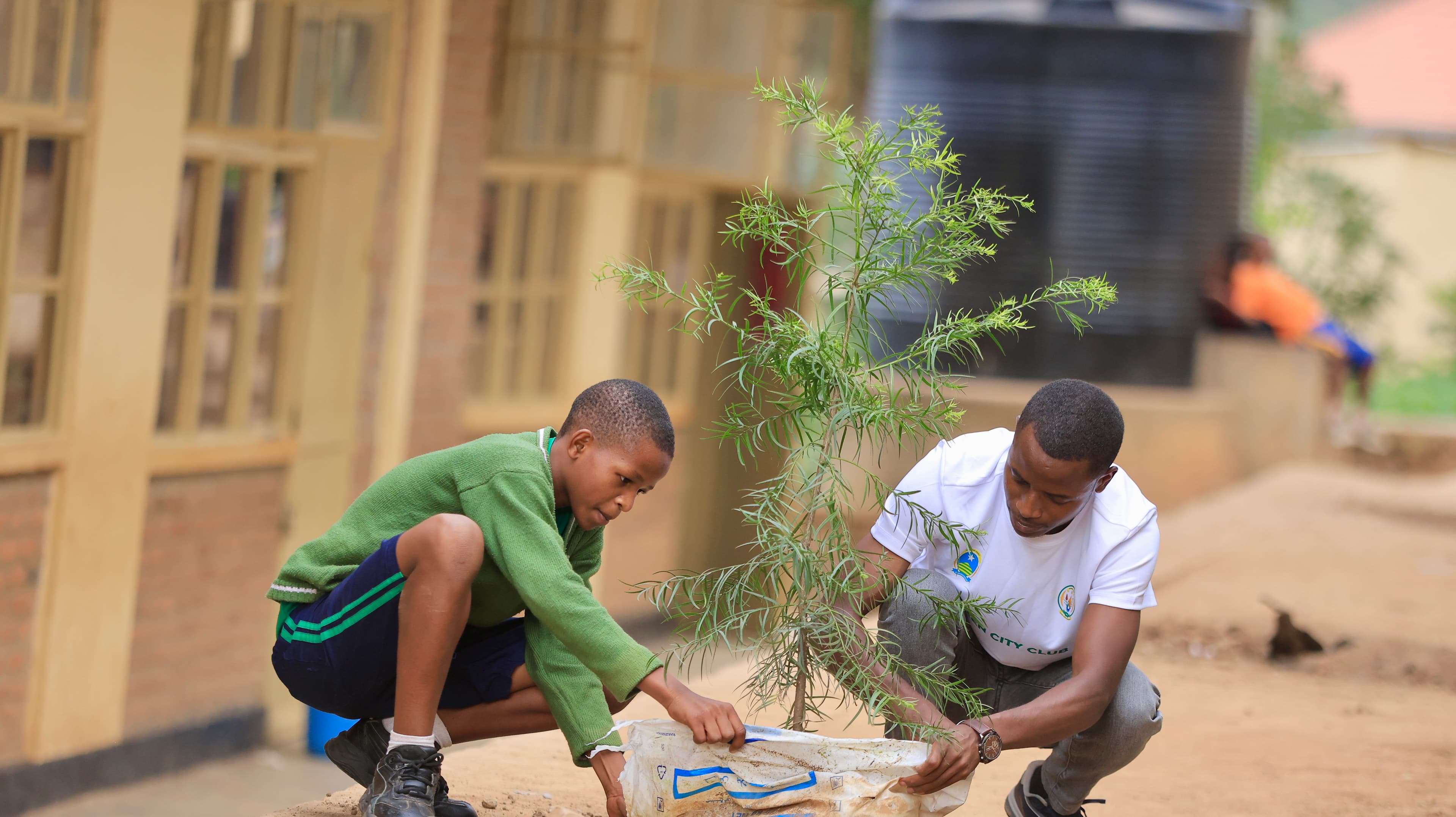 Projects & Implementation